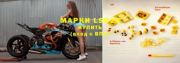 эйфоретик Аркадак