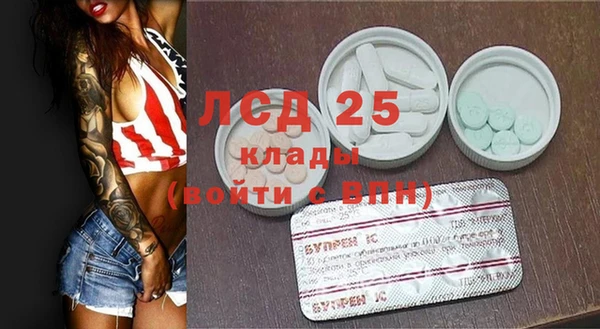 эйфоретик Аркадак