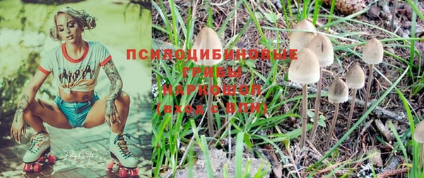 крисы Арсеньев